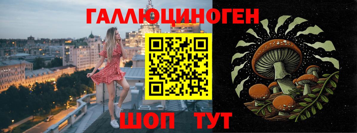 Псилоцибиновые грибы Cubensis Кубинка